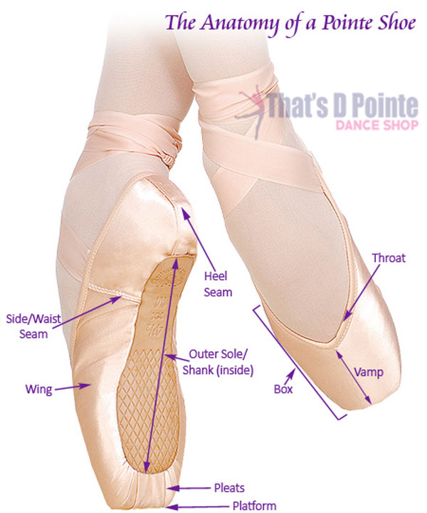 anatomy-of-pointe-shoe
